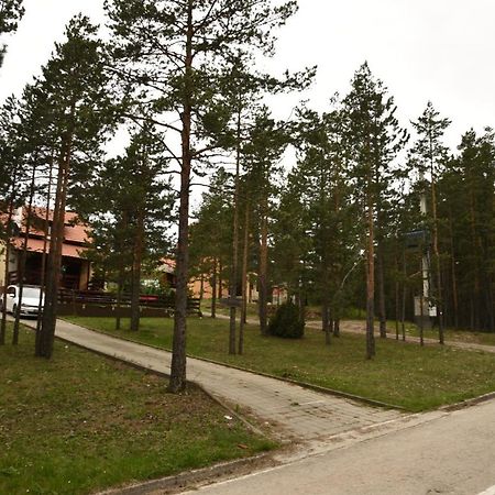 Vikendica Maksimovic - Tara - Primamo Vaucere Villa Kaludjerske Bare Buitenkant foto