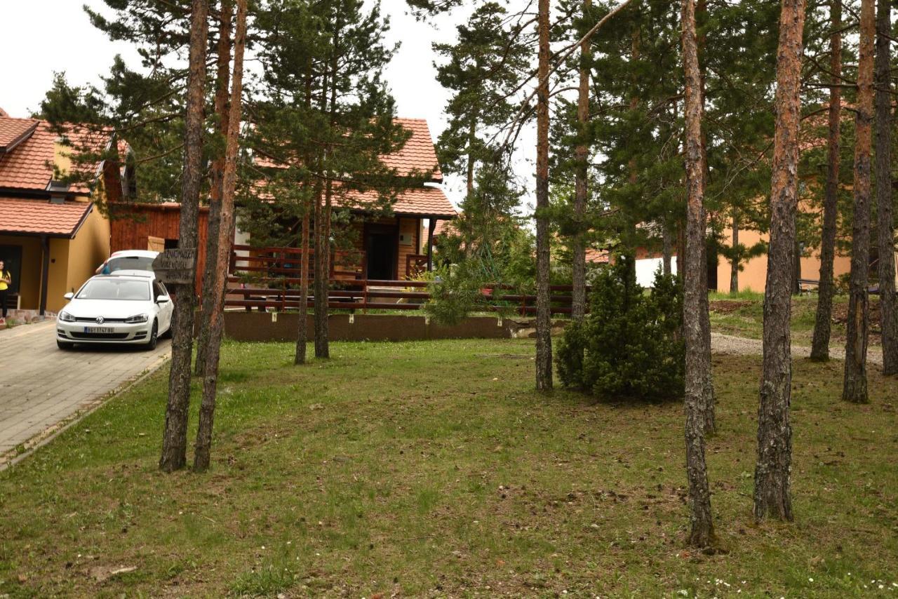 Vikendica Maksimovic - Tara - Primamo Vaucere Villa Kaludjerske Bare Buitenkant foto