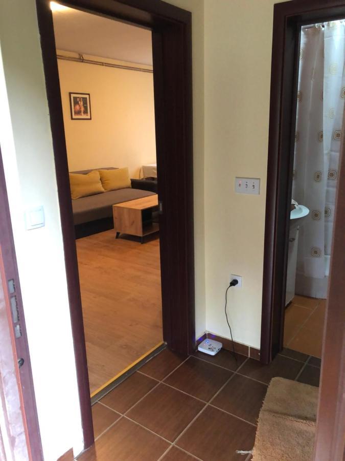 Vikendica Maksimovic - Tara - Primamo Vaucere Villa Kaludjerske Bare Buitenkant foto